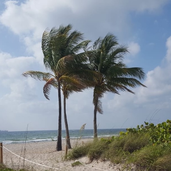 Meet your Posher, Chrissy - Picture 1 of 1